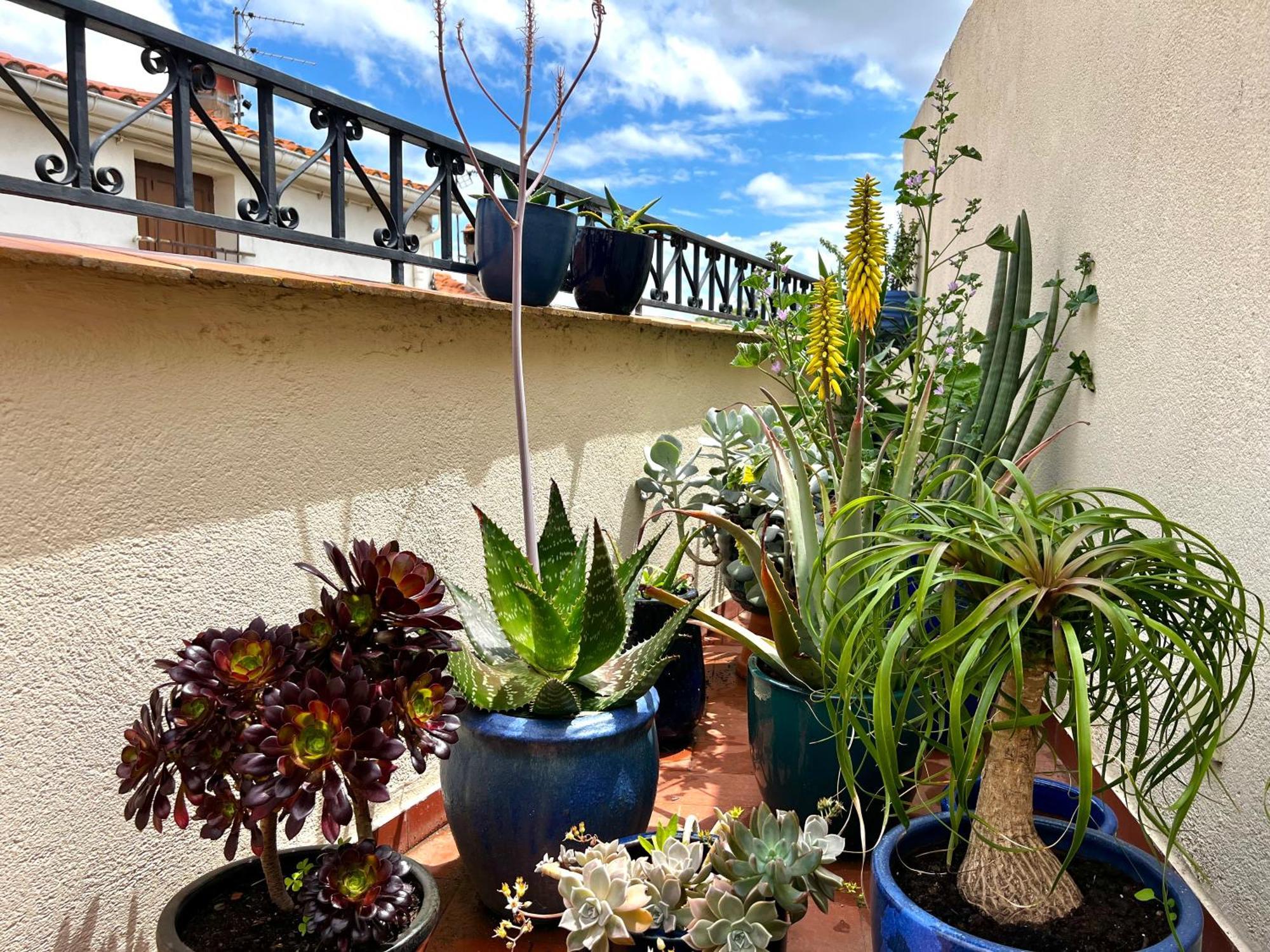 Maison Familiale Bages  Dış mekan fotoğraf